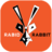 Rabid Rabbit CRYPTO EXCHANGE